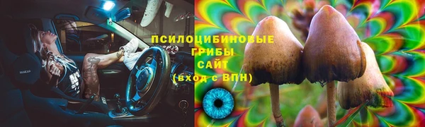 ГАЛЛЮЦИНОГЕННЫЕ ГРИБЫ Богданович